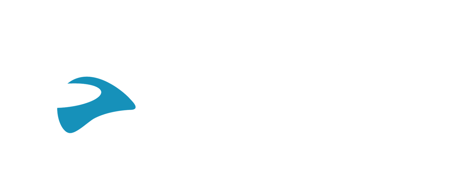 Cardo