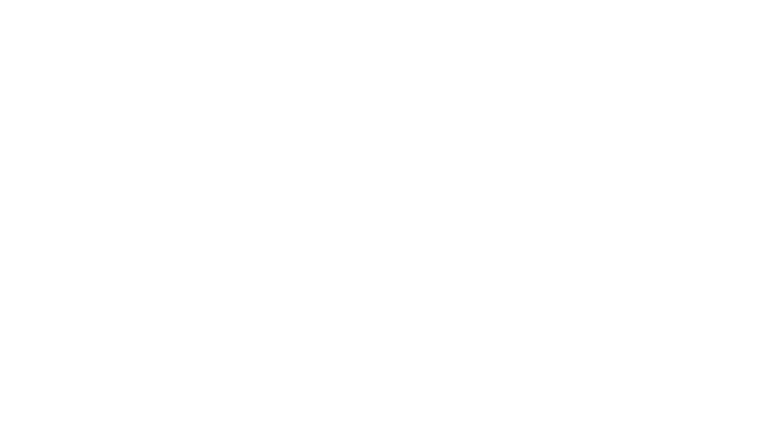 Logo Holafly-01