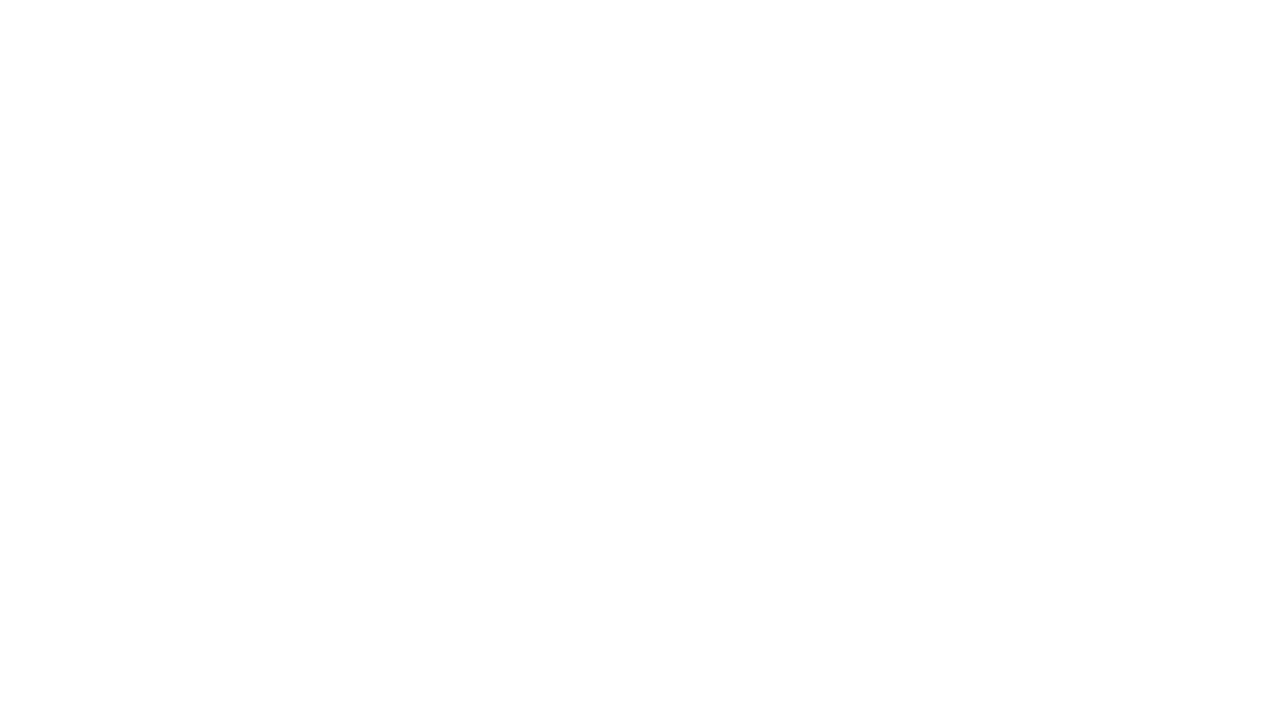Logo Holafly-01